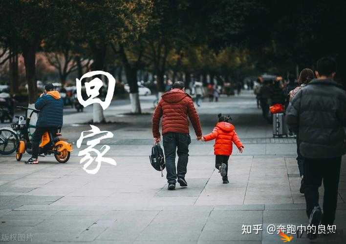 带你回家怎么玩儿：探索独特玩法与无尽欢乐的奇妙之旅