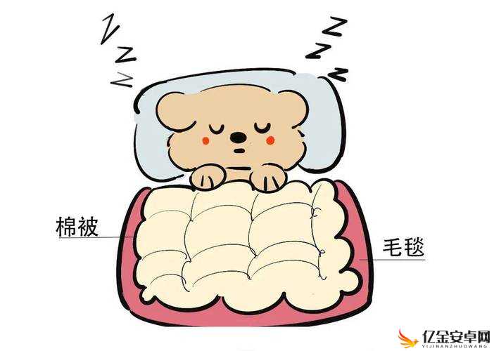 造孩子不盖被子视频：揭示孩子睡眠中的常见问题及应对策略